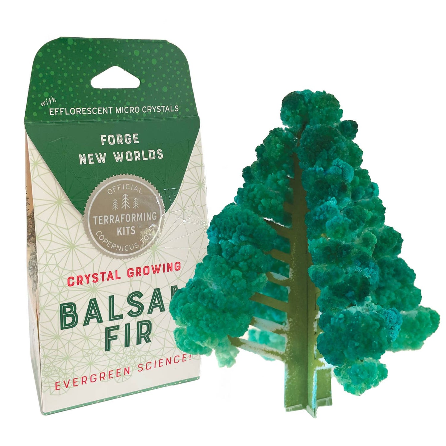 Crystal Growing Balsam Fir |
Craft kit Science kit Christmas