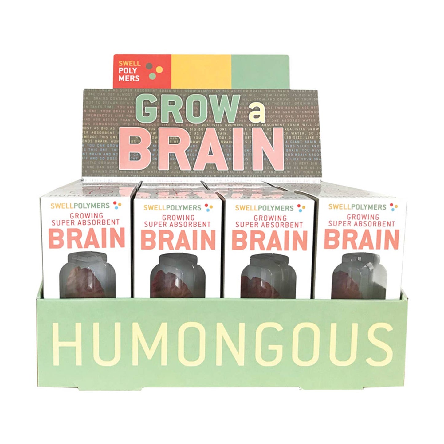Grow a Brain | 
Anatomy Model Polymer Brain Science Kit