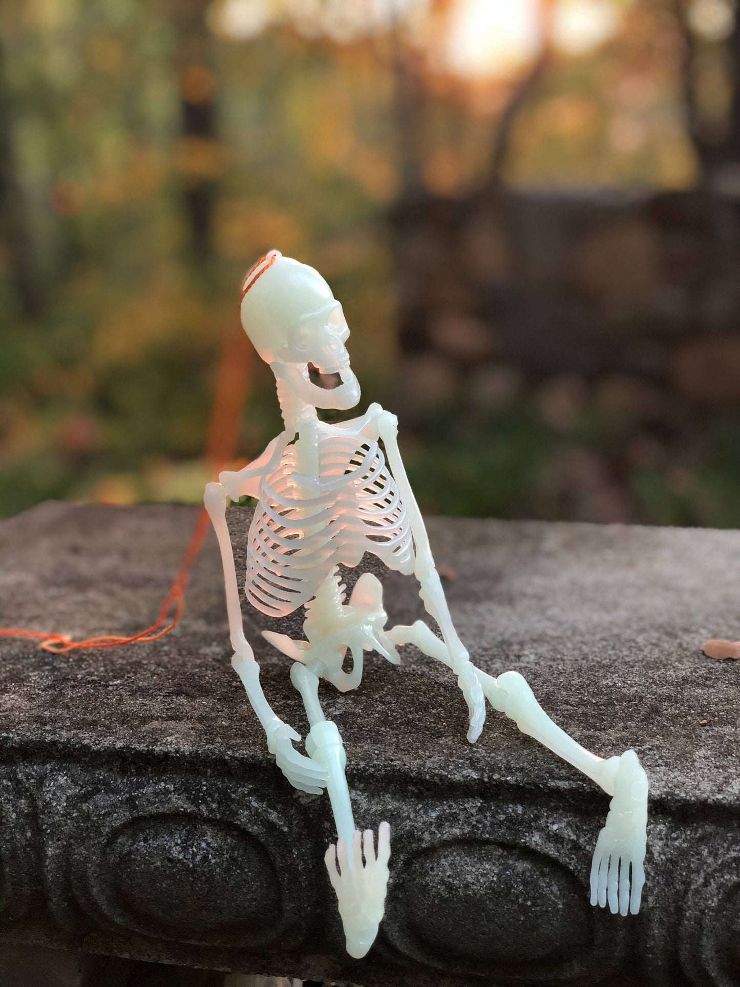 Glow In The Dark Skeleton