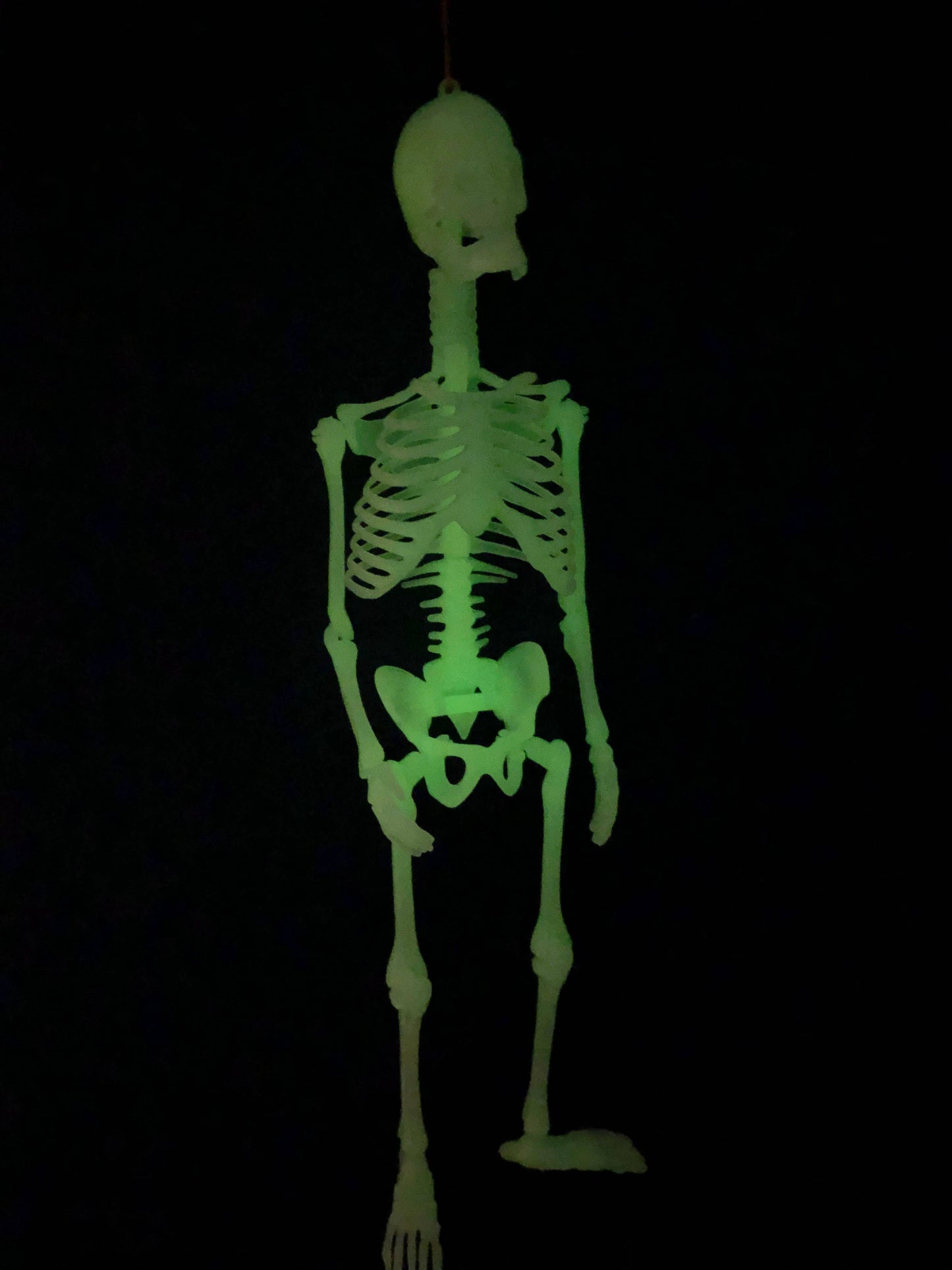 Glow In The Dark Skeleton