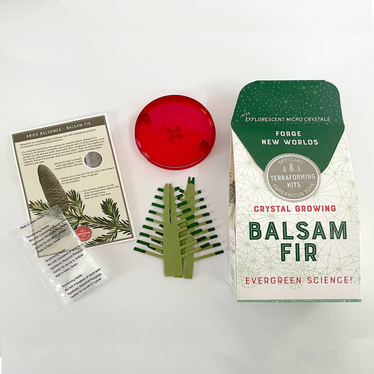 Crystal Growing Balsam Fir |
Craft kit Science kit Christmas
