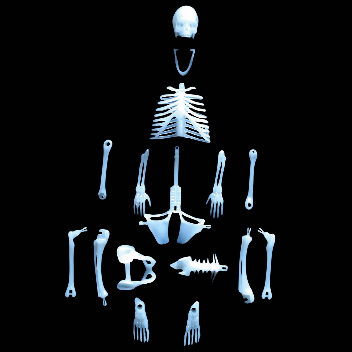 Glow In The Dark Skeleton